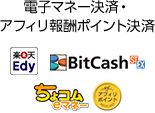 Żҥޥ͡ѡե󽷥ݥȷ ŷEdy/BitCash/祳eޥ͡