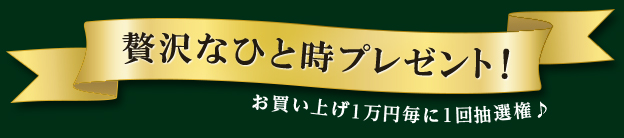 ʤҤȻץ쥼! 㤤夲11