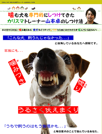 ฤŪˤĤƤꥹޥȥ졼ʡΤĤˡ