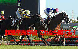 超簡単馬券術 これなら勝てる!