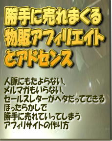 勝手に売れまくる物販アフィリエイトとアドセンス。月収48万円をほったらかしで手に入れる自動販売機(ブログ)の作り方。
