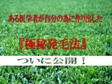 ある医学博士がこっそりと使っていた！　『極秘発毛法』　ついに公開！