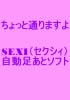 ちょっと通りますよ〜 SEXI(セクシィ)自動足あとソフト 〜【返金保証付】★豪華特典付★