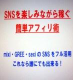 SNSを楽しみながら稼ぐ 簡単アフィリ術