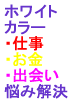 �ۥ磻�ȥ��顼��Ω�������Web���������������