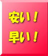 届いた日から報酬GETも夢じゃない!?広告インストール済みワードプレス(格安コース)