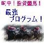 的中！投資競馬！最強プログラム