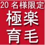 20名様限定!■『極楽育毛革命』■薬物系育毛剤・シャンプーを使わない超育毛術