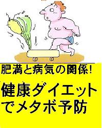 肥満と病気の関係！ 健康ダイエットでメタボ予防