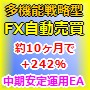 �ⵡǽFX��ư���㥷���ƥ�ڥݥ���ȥ֥쥤�������ƥࡦ�ե�С�������