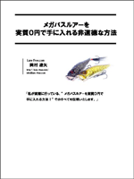 メガバスルアーを実質0円で手に入れる非道徳なオークション法