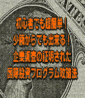 『DD証明済み優良国際投資プログラム攻略法』メルマガ