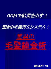 ふえた!はえた!90日で結果を出す!驚きの毛髪再生システム”驚異の毛髪錬金術”A4版 180ページ