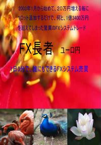 ���ƁA1��3400���~�𒴂��Ă��܂����V�X�e���g���[�h�uFX���ҁ@���[���~�v
