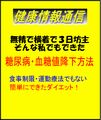 冊子；無精で横着３日坊主の私ができた【糖尿病・血糖値降下方法】
