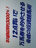 平均回収率約3000％！１２点買いで万馬券を的中させる脅威の投資競馬術