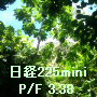 P/F 3.38の日経225miniプログラム(自動売買)