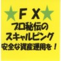 ＦＸ秘伝コツコツプロスキャル