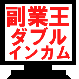 ネット副業王！ダブルインカム達成法