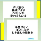 中学受験　理科・社会　脳プレス高速暗記講座　理科編（上）（下）セット