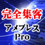 インターネット総合集客ツール　アメプレスPro2019