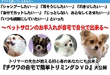 初心者のためのチワワのお手入れ動画ＤＶＤ