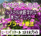 上野式生命素子プラーナ療法初級コース1＆2/48000